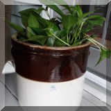 D79. Crock with plant. 12”h x 13”w - $45